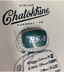 Pin's BSA vert (LB09C)