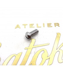 vis inox de gicleur de...