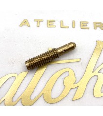 gicleur de ralenti...