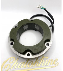 Stator d'alternateur RM21...