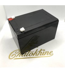 Batterie 12 volts sans...