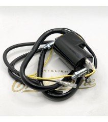 Bobine double allumage (19371)