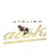 vis inox de trappe de...