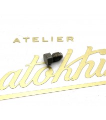 vis auto-cassante pour...